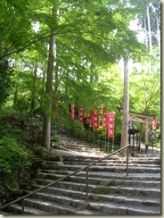 DSCN9002