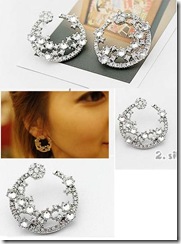 shiny elegance earrings