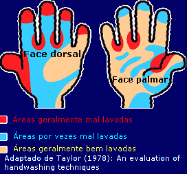 [Lavagem-maos[2].png]