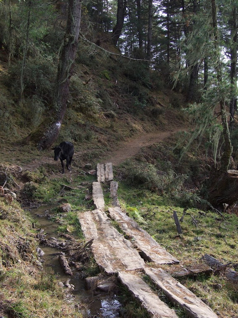 9 дней в Королевстве Громового Дракона, ноябрь 2009 (фото)