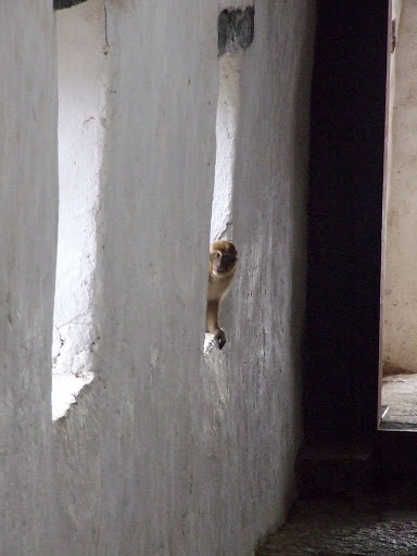9 дней в Королевстве Громового Дракона, ноябрь 2009 (фото)