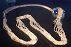 Okt 31 2010 Louise of Sweden silversmycken 021.JPG