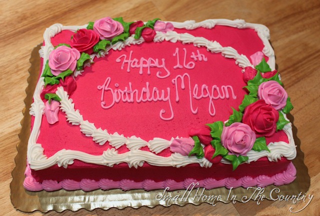 [Megans16thBirthdayParty090[1].jpg]