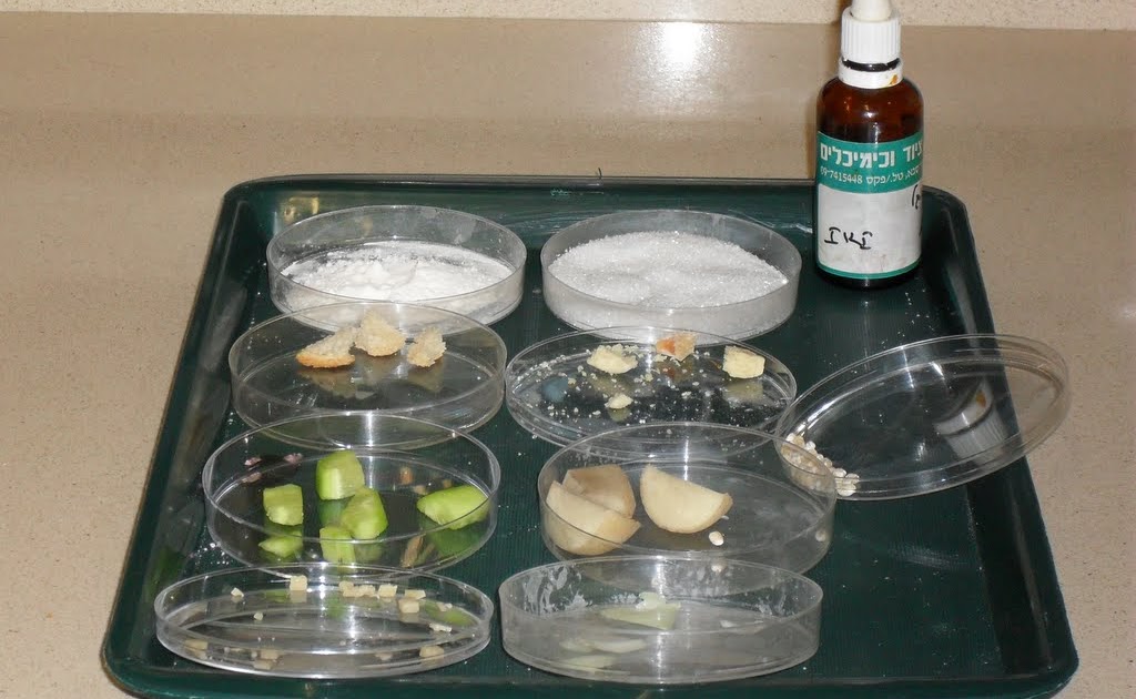 Reports from the lab General Science Iodine the indicator