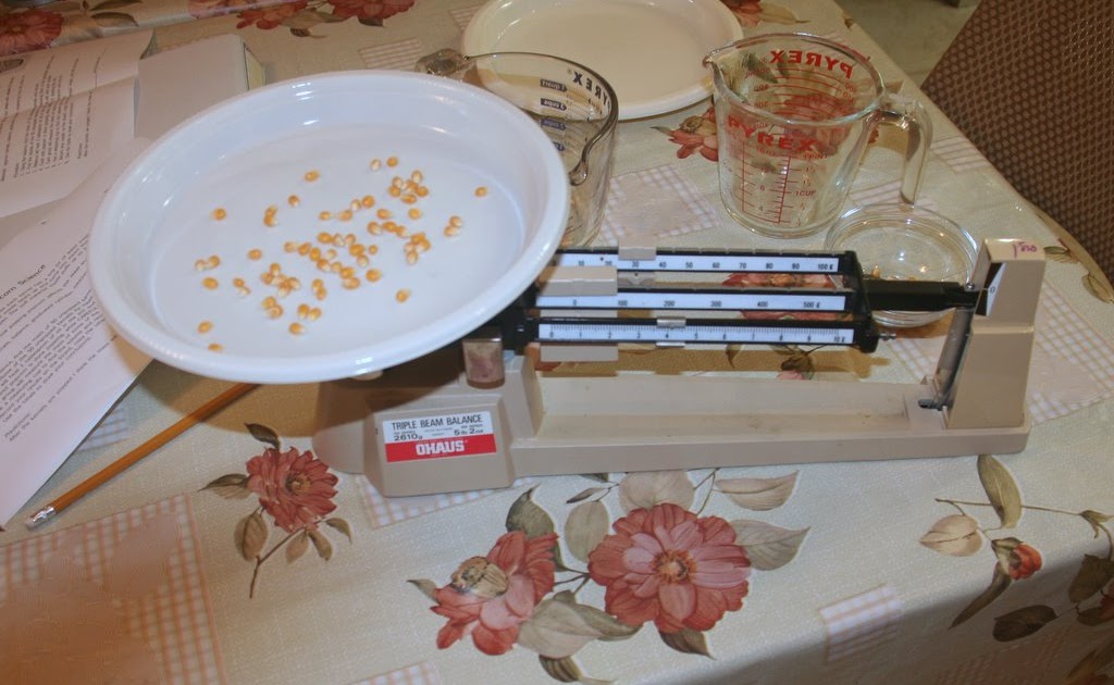 Reports from the lab Popcorn Science