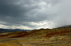 DSC_5217.NEF