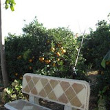 hort9.jpg