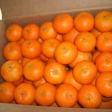 cimg0440.jpg