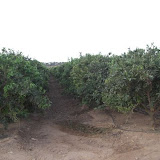 cimg0709.jpg