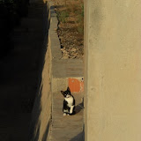 cimg0713.jpg