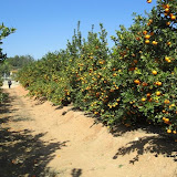 cimg0006.jpg