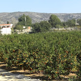 cimg0018.jpg