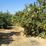 cimg0025.jpg