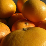 cimg0045.jpg