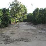 cimg0727.jpg