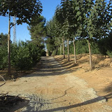 cimg0733.jpg
