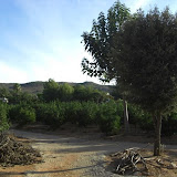 cimg0734.jpg