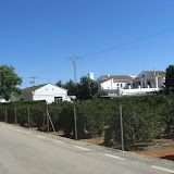 cimg0743.jpg