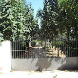 cimg0751.jpg