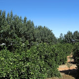 cimg0753.jpg