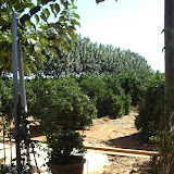 cimg0773.jpg