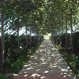 cimg0778.jpg