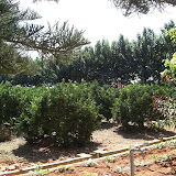cimg0788.jpg