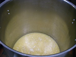 CIMG0268 CIMG0268