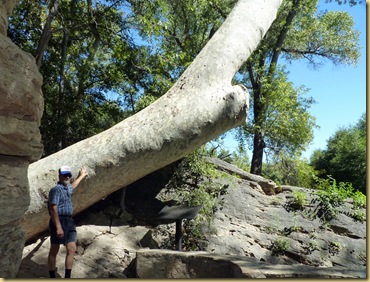 2010-09-24 - AZ, Montezuma's Well -  1036