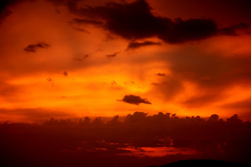 фАЛЕКСА-2010/ день второй