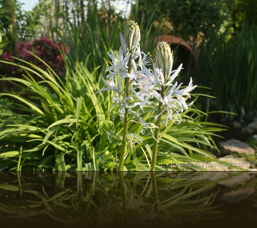 IMG_4273 IMG_4273