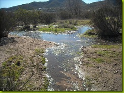 monday january 17 walk in mission trails