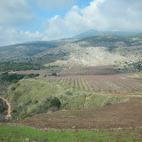 איזה צבעים יפים