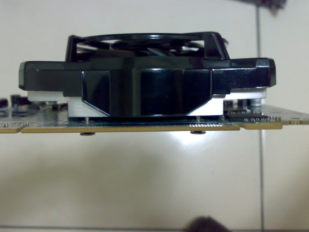 20100224439.jpg