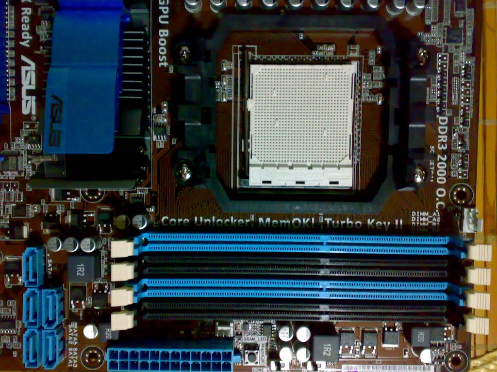 20100729502.jpg
