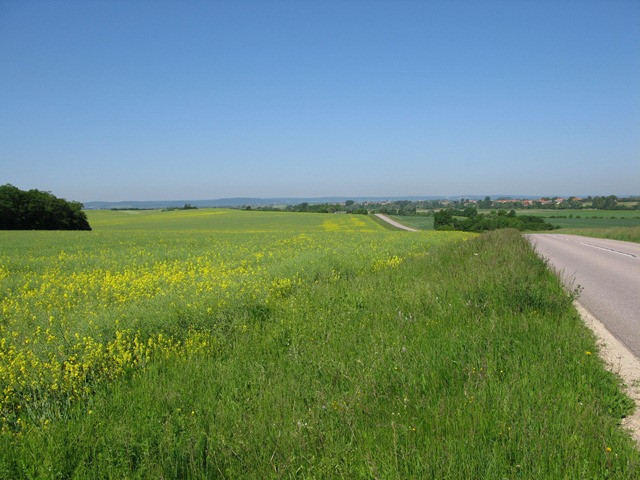 [IMG_34232.jpg]