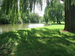 Frederick City Real Estate City of Frederick Real Estate