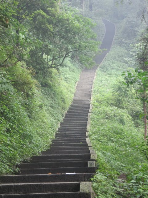Climbing Emei Shan
