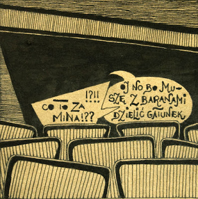38 ewolucja.jpg