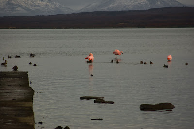 DSC_0035.jpg