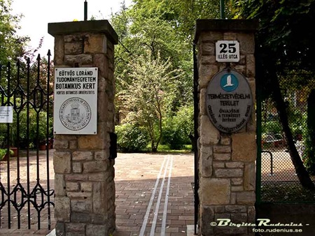 [park_20100731_G9_botaniska2[2].jpg]