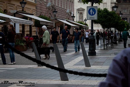 [people_20100806_nO_vimmel[2].jpg]