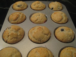 Kids BB muffins (14)