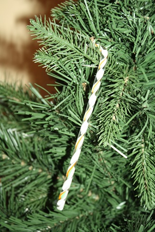 [IMG_33513.jpg]