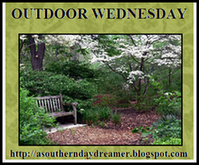 [Outdoor_Wednesday_logo3.png]