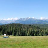 Marek - Gęsia Szyja