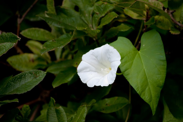 DSC_2014.jpg