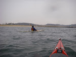 IMGP4138.JPG