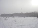 IMGP4281.JPG