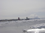 IMGP4494.JPG